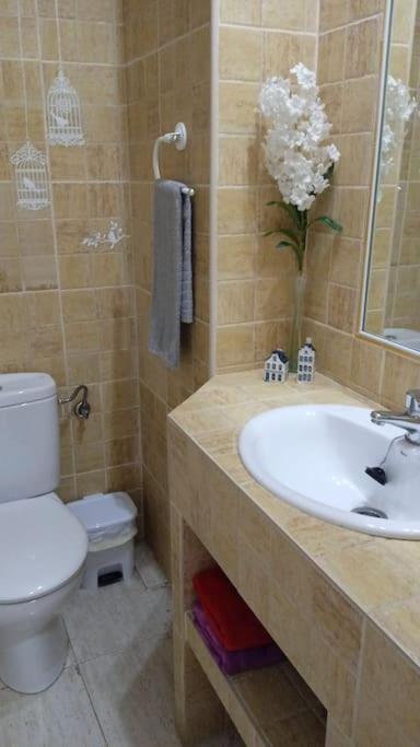 Bonito Apartamento Jv36 Apartment Cordoba Ngoại thất bức ảnh